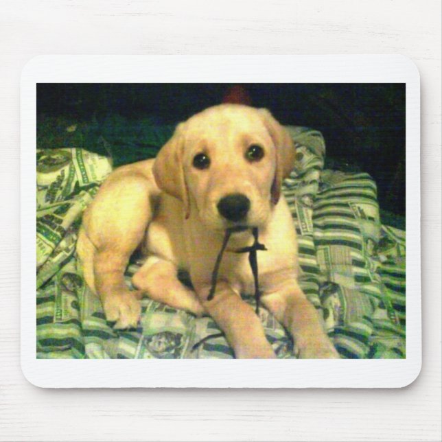 yellow labrador retriever puppy mouse pad (Front)