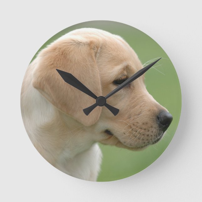 Yellow labrador retriever puppy round clock (Front)