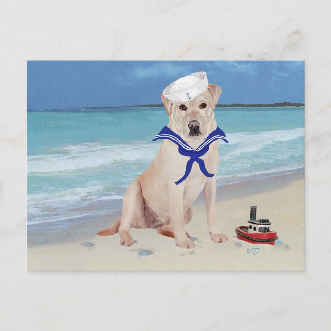 Yellow Labrador Retriever Sailor Postcard (Front)