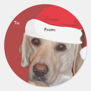 Yellow Labrador Retriever To/From Xmas  stickers
