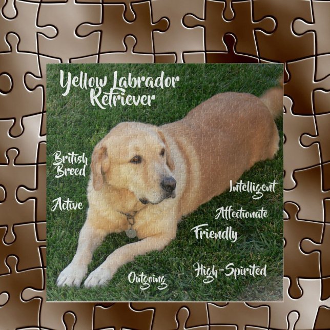 Yellow Labrador Retriever Traits Game Jigsaw Puzzle (Creator Uploaded)