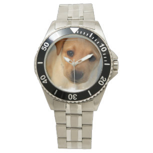 Yellow Labrador Retriever Watch