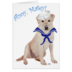 Yellow Labrador Sailor