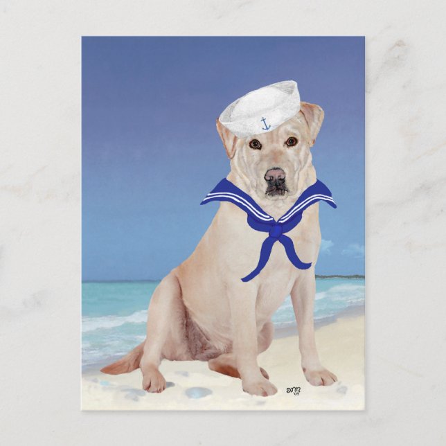 Yellow Labrador Sailor Postcard (Front)