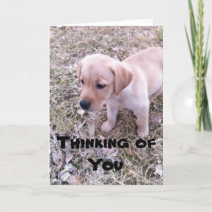Yellow Labrador Thinking of You Card