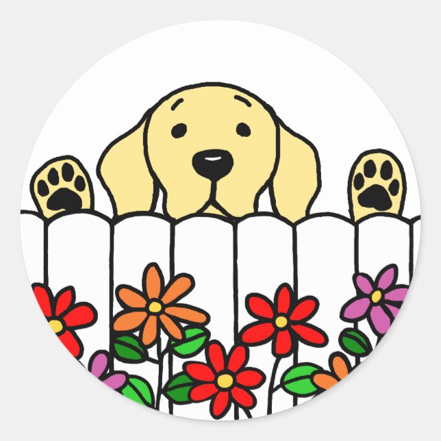 Yellow Labrador watching you Classic Round Sticker (Front)