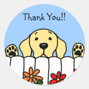 Yellow Labrador watching you Classic Round Sticker