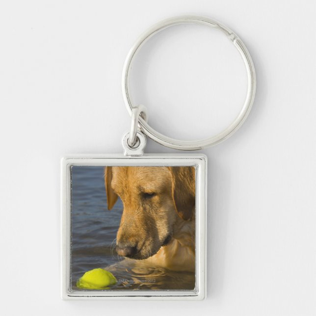 Yellow labrador with a tennis ball in the water key ring (Front)
