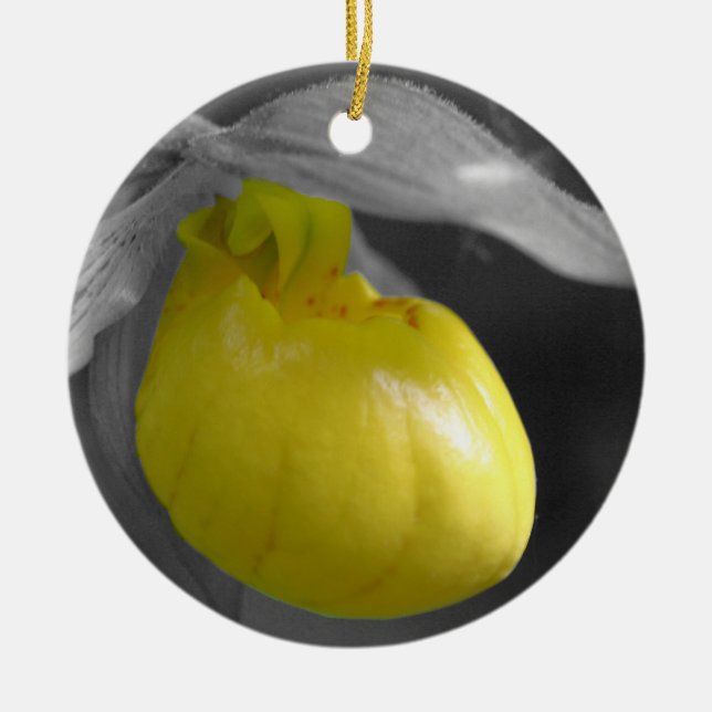 Yellow Lady Slipper BW Flower Ornament (Front)