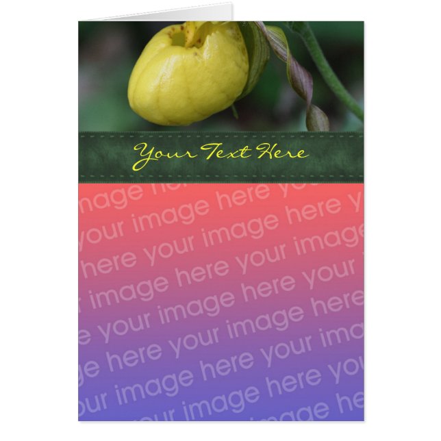 Yellow Lady Slipper Orchid Flower Photo Card (Front)