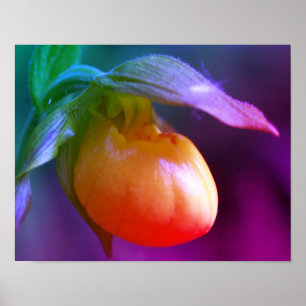 Yellow Lady Slipper Orchid Flower Tinted Poster