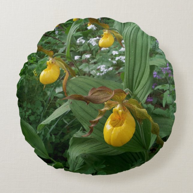 Yellow Lady's Slipper Orchid Flowers In Bloom Round Cushion (Front)