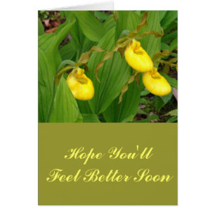 "YELLOW LADYSLIPPERS" /FLORAL PHOTOG