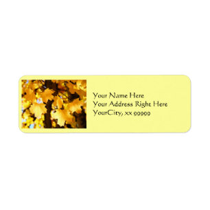 Yellow Leaves Address Labels Autumn Fall leaves