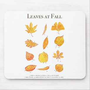 yellow leaves at fall collection mouse pad