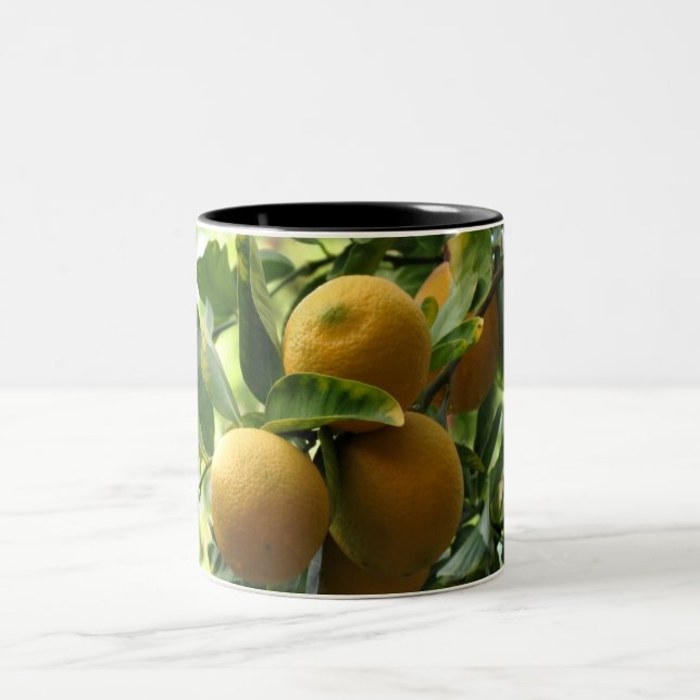 Yellow Lemons On The Tree Two-Tone Coffee Mug (Center)