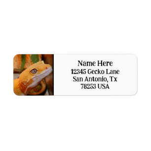 Yellow Leopard Gecko Return Address Label