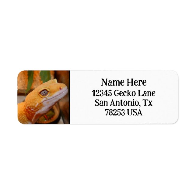 Yellow Leopard Gecko Return Address Label (Front)