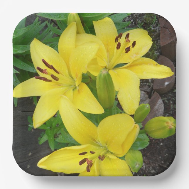 Yellow Lilly Designed Square Paper Plate (Front)