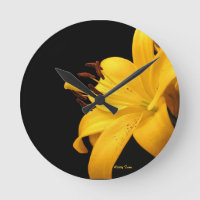 Yellow Lilly