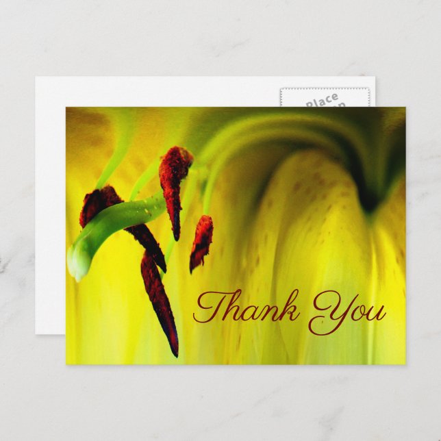 Yellow Lily Abstract Floral Thank You Postcard (Front/Back)