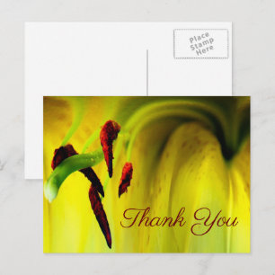 Yellow Lily Abstract Floral Thank You Postcard