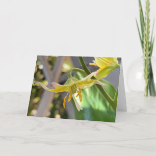 Yellow Lily Blank Card