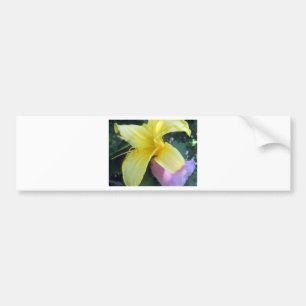 Yellow Lily Bumper Sticker