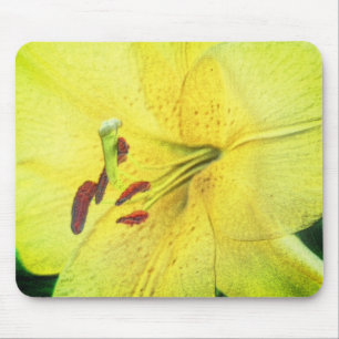 Yellow Lily Flower Pencil Art Mouse Pad