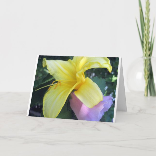 Yellow Lily Holiday Card (Front)