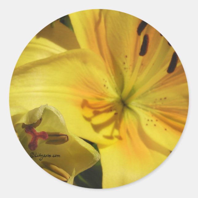 Yellow Lily Invitation Envelope Seal (Front)