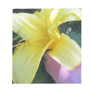 Yellow Lily Notepad