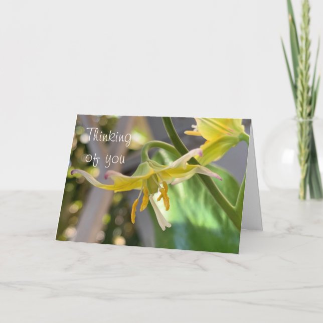 Yellow Lily Thinking of You Card (Front)