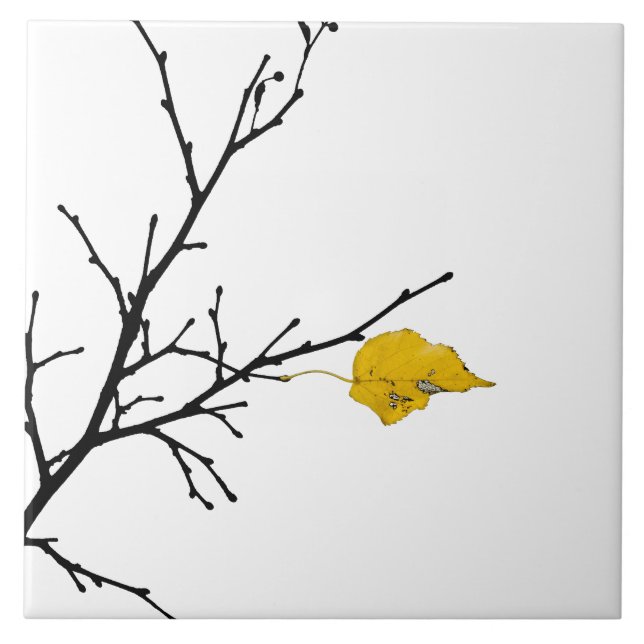 Yellow Lime Tree Leaf Ceramic Tile (Front)
