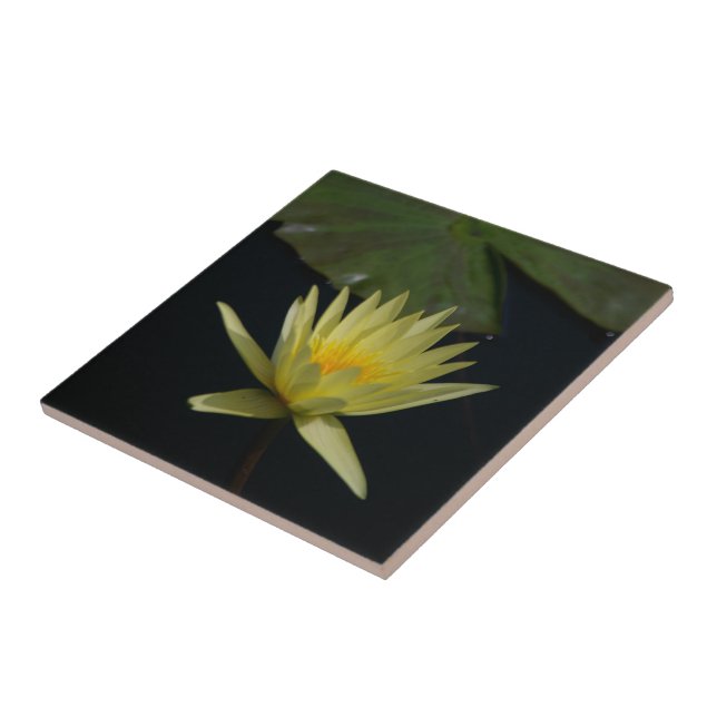 Yellow Lotus Waterlily Ceramic Tile (Side)