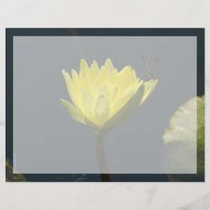 Yellow Lotus Waterlily Flower