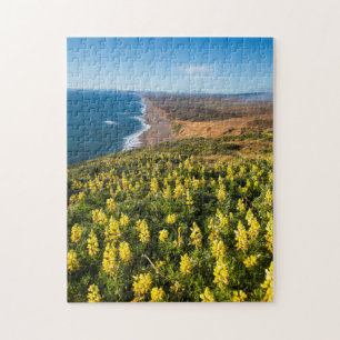 Yellow Lupine Above Point Reyes Beach At Point Jigsaw Puzzle