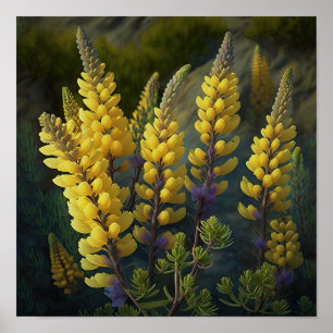 Yellow Lupine Flower Art Print Poster