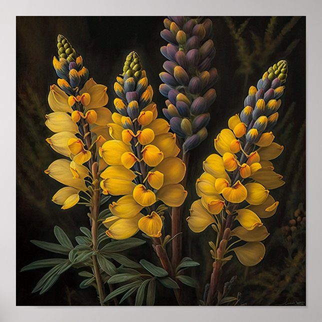 Yellow Lupine Flower Art Print Poster (Front)