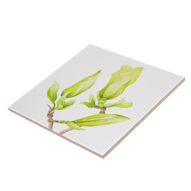Yellow Magnolias on a Ceramic Tile (2W) (Side)