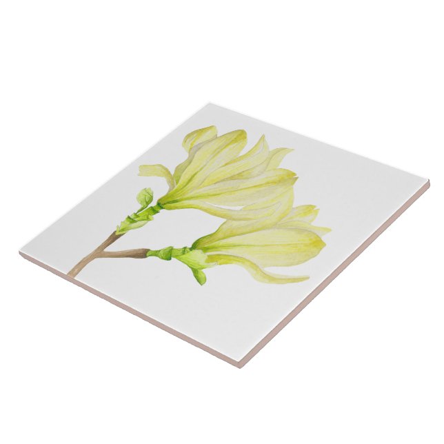 Yellow Magnolias on Ceramic Tile (1W) (Side)