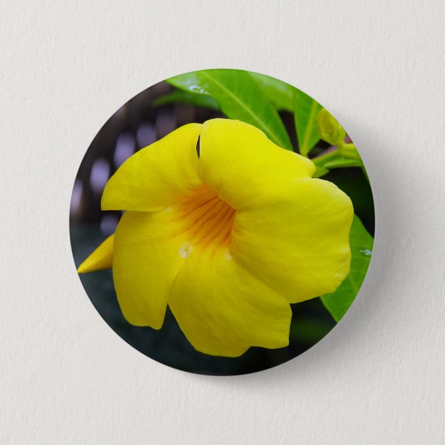Yellow Mandevilla 6 Cm Round Badge (Front)