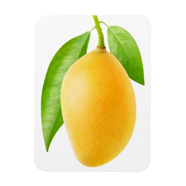 Yellow mango magnet (Vertical)
