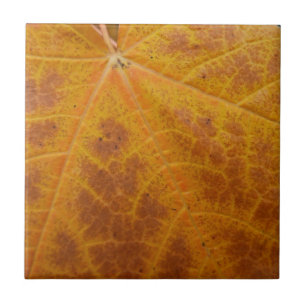 Yellow Maple Leaf Autumn Abstract Nature Ceramic Tile
