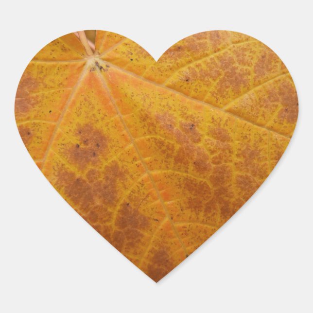 Yellow Maple Leaf Autumn Abstract Nature Heart Sticker (Front)