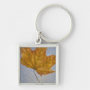 Yellow Maple Leaf Under Water Key Ring