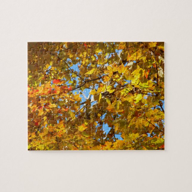Yellow Maple Leaves and Blue Sky Jigsaw Puzzle (Horizontal)