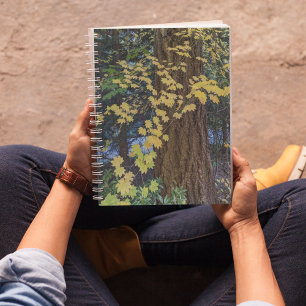 Yellow Maple Leaves and Douglas Fir Notebook