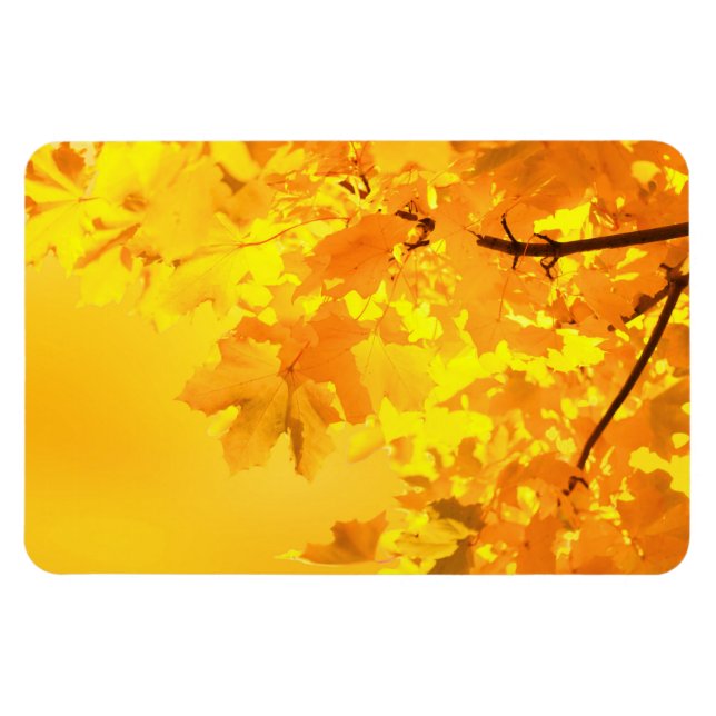 Yellow Maple Magnet (Horizontal)