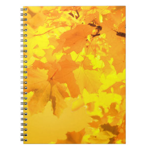 Yellow Maple Notebook